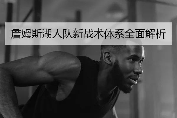 詹姆斯湖人队新战术体系全面解析