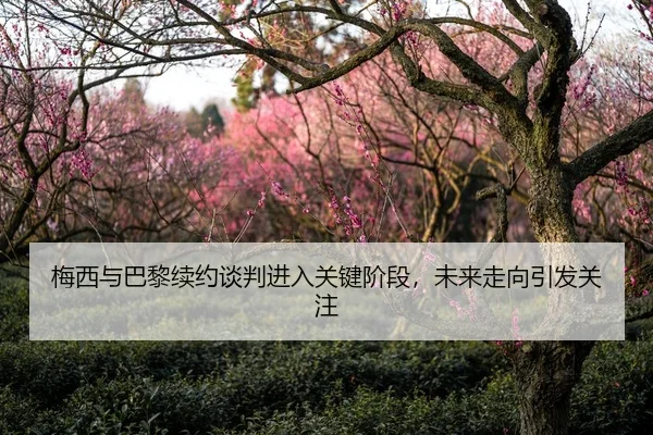梅西与巴黎续约谈判进入关键阶段，未来走向引发关注
